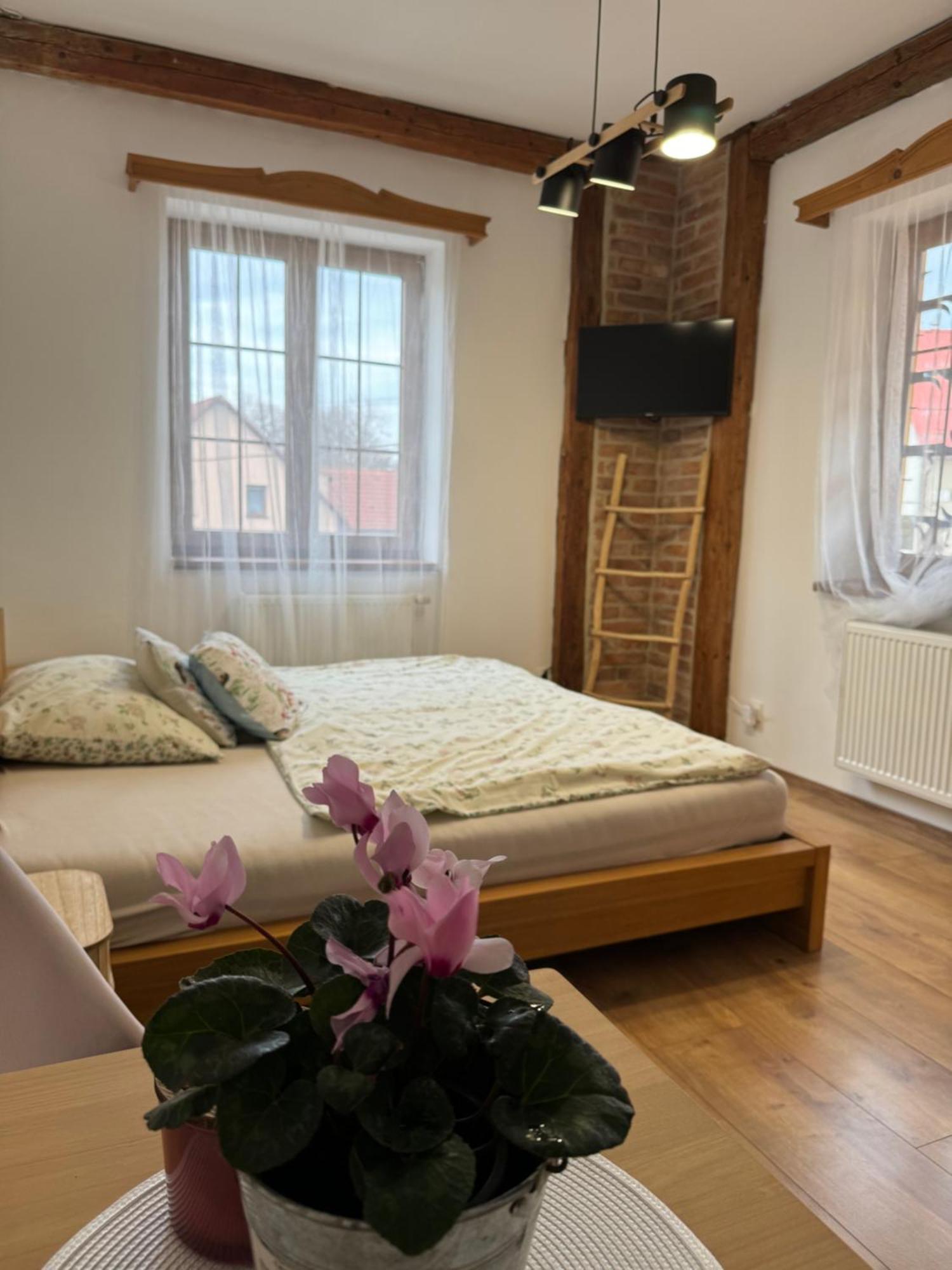Penzion Hradecky Dvur Pilsen Exterior foto